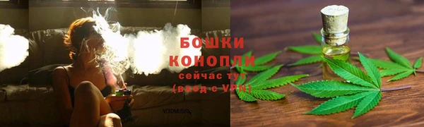 прущие крисы Вязьма